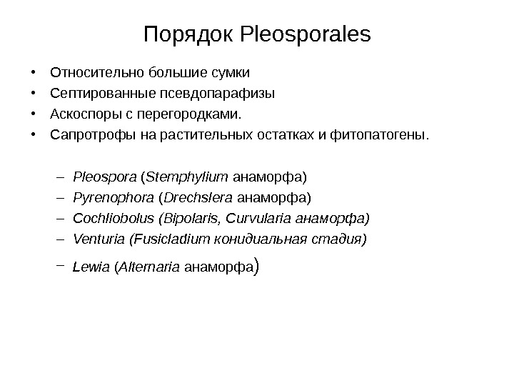   Порядок Pleosporales • Относительно большие сумки • Септированные псевдопарафизы • Аскоспоры с