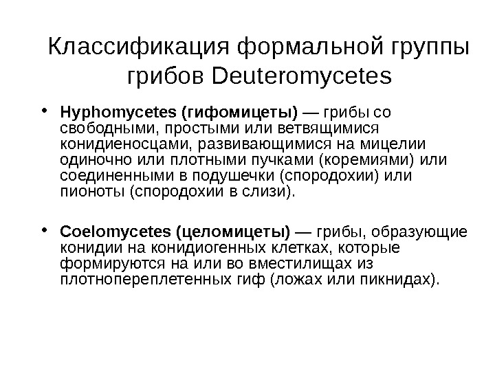   Классификация формальной группы грибов Deuteromycetes • Hyphomycetes (гифомицеты)  — грибы со