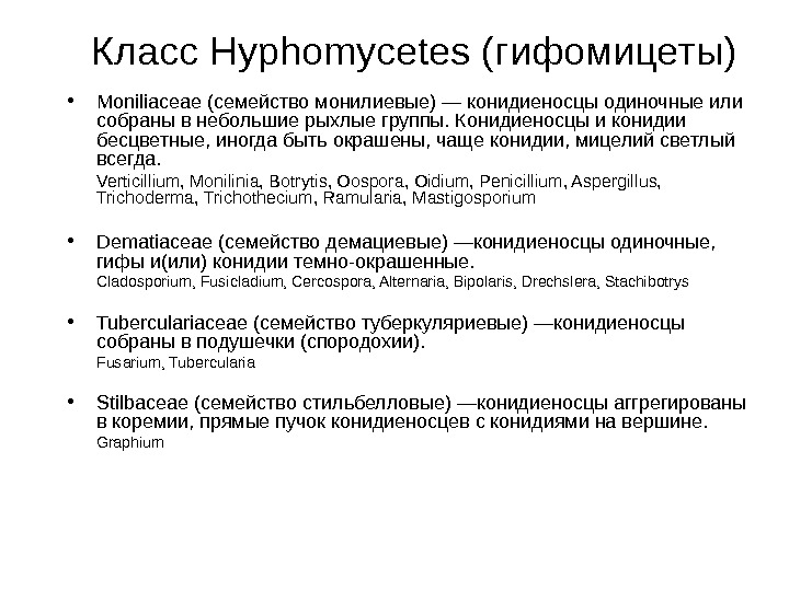   Класс Hyphomycetes (гифомицеты) • Moniliaceae (семейство монилиевые) — конидиеносцы одиночные или собраны