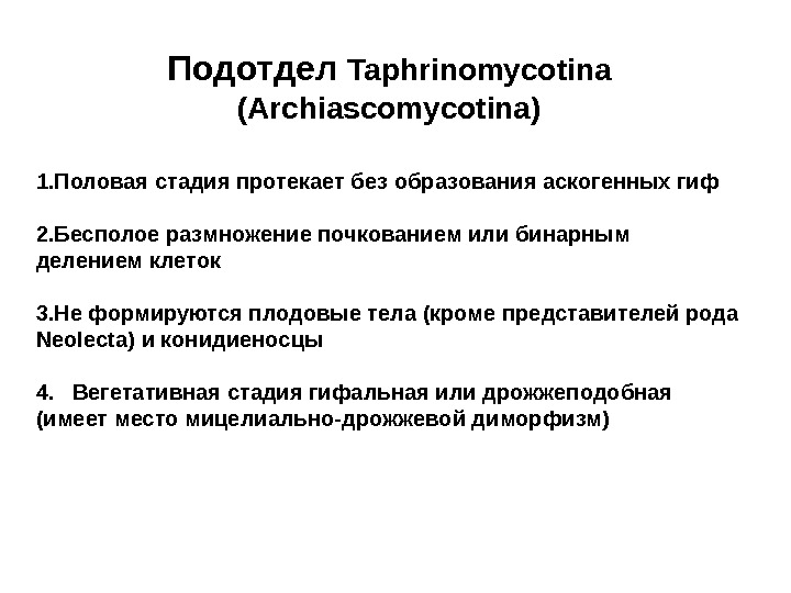   Подотдел Taphrinomycotina (Archiascomycotina) 1. Половая стадия протекает без образования аскогенных гиф 2.