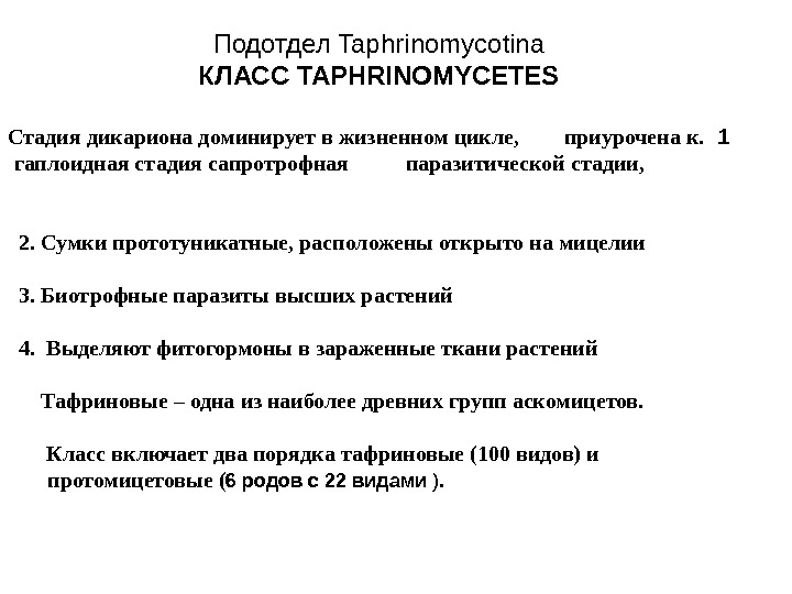   Подотдел Taphrinomycotina КЛАСС TAPHRINOMYCETES  1.  Стадия дикариона доминирует в жизненном