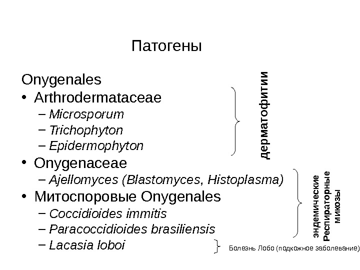   Патогены Onygenales • Arthrodermataceae – Microsporum – Trichophyton – Epidermophyton • Onygenaceae