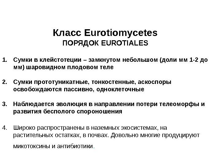   Класс Eurotiomycetes ПОРЯДОК EUROTIALES 1. Сумки в клейстотеции – замкнутом небольшом (доли