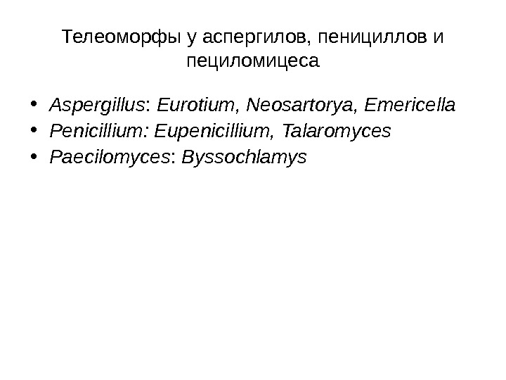   Телеоморфы у аспергилов, пенициллов и пециломицеса • Aspergillus :  Eurotium, Neosartorya,