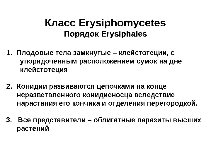   Класс Erysiphomycetes Порядок Erysiphales 1. Плодовые тела замкнутые – клейстотеции, с 