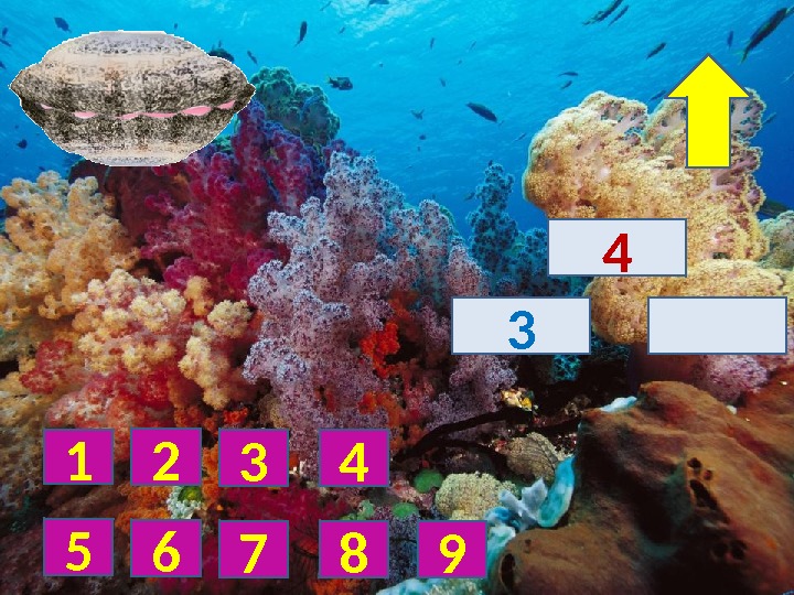 4 3 1 2 3 5 6 7 4 8 9 