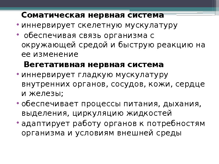 Соматическая нервная система  • иннервирует скелетную мускулатуру •  обеспечивая связь организма с