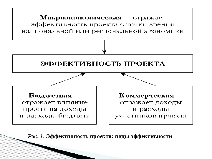 Рис. 1.  Эффективность проекта: виды эффективности  