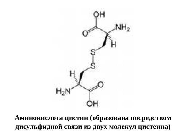   Аминокислота цистин (образована посредством дисульфидной связи из двух молекул цистеина) 