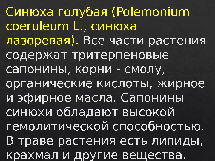 Синюха голубая (Polemonium coeruleum L. , синюха лазоревая).  Все части растения содержат тритерпеновые