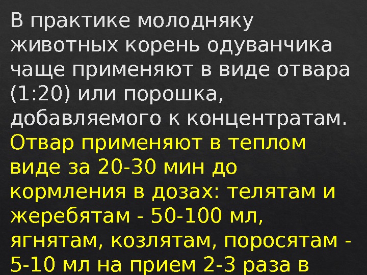 В практике молодняку животных корень одуванчика чаще применяют в виде отвара (1: 20) или