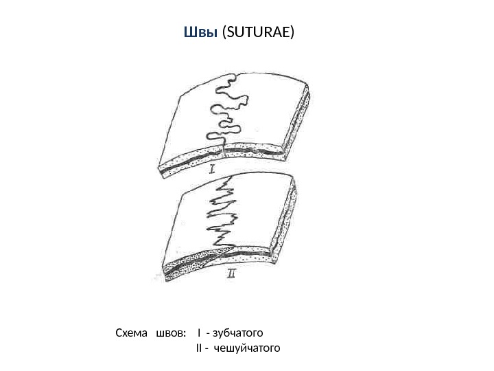 Стыки 1 глава