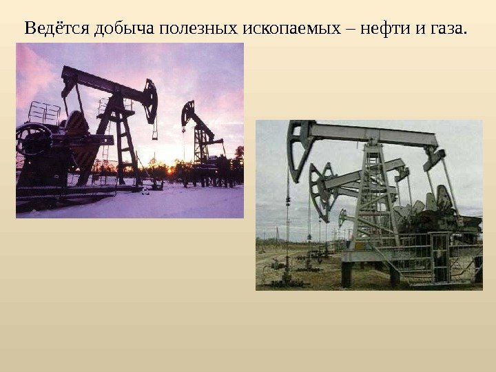 Ведётся добыча полезных ископаемых – нефти и газа. 