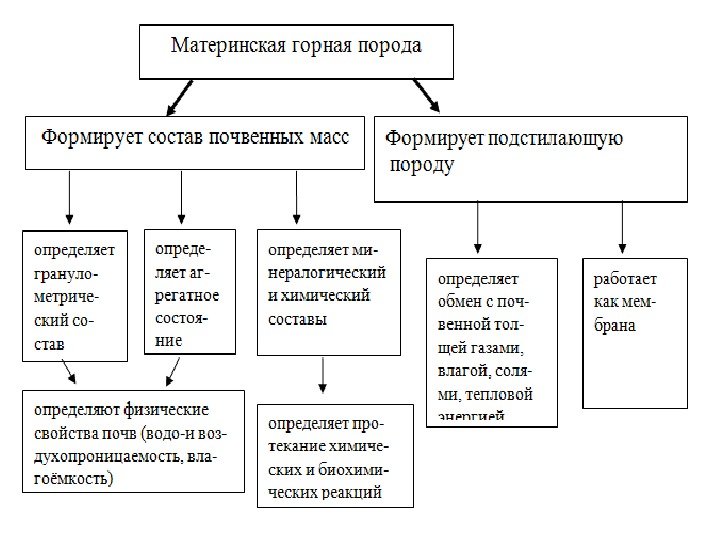 Схема почвообразующие факторы