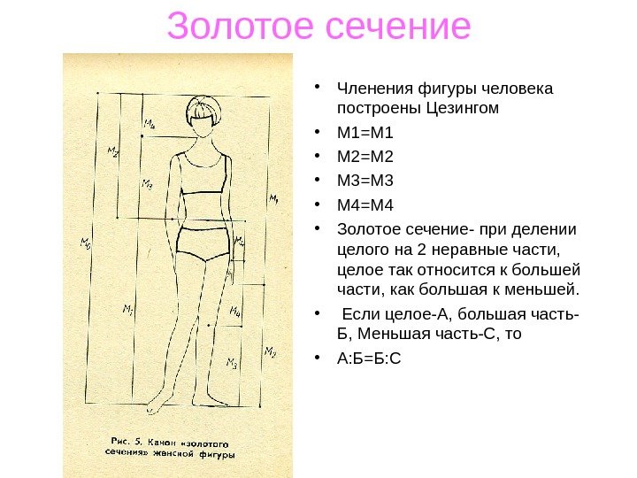 Золотое сечение пропорции человека. Золотое сечение в фигуре человека. Пропорция в искусстве схемы. Пропорционально модульное построение фигуры человека. Правила построения человека.