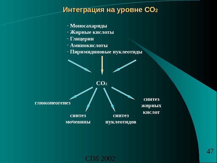 СПб 2002 47 Интеграция на уровне СО 22 СО 2 -  Моносахариды -  Жирные