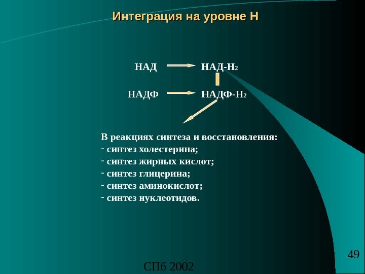 СПб 2002 49 Интеграция на уровне Н НАД-Н 2 НАДФ-Н 2 В реакциях синтеза и восстановления: