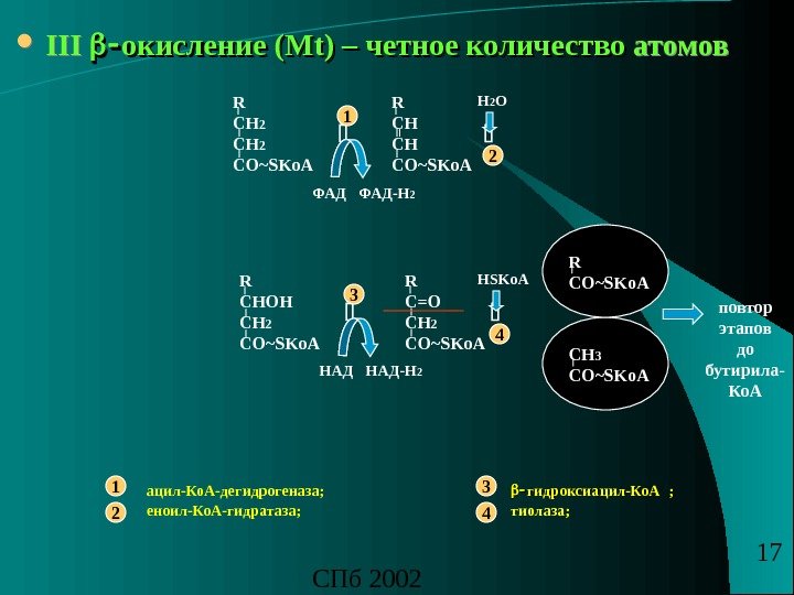 СПб 2002 17 III окисление (Мокисление (М t) –t) – четное количество  атомов 1 R