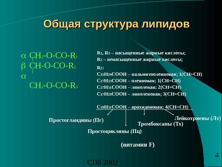 СПб 2002 4 СН 2 -О-СО- R 1 CH-O-CO-R 2 CH 2 -O-CO-R 3 Общая структура