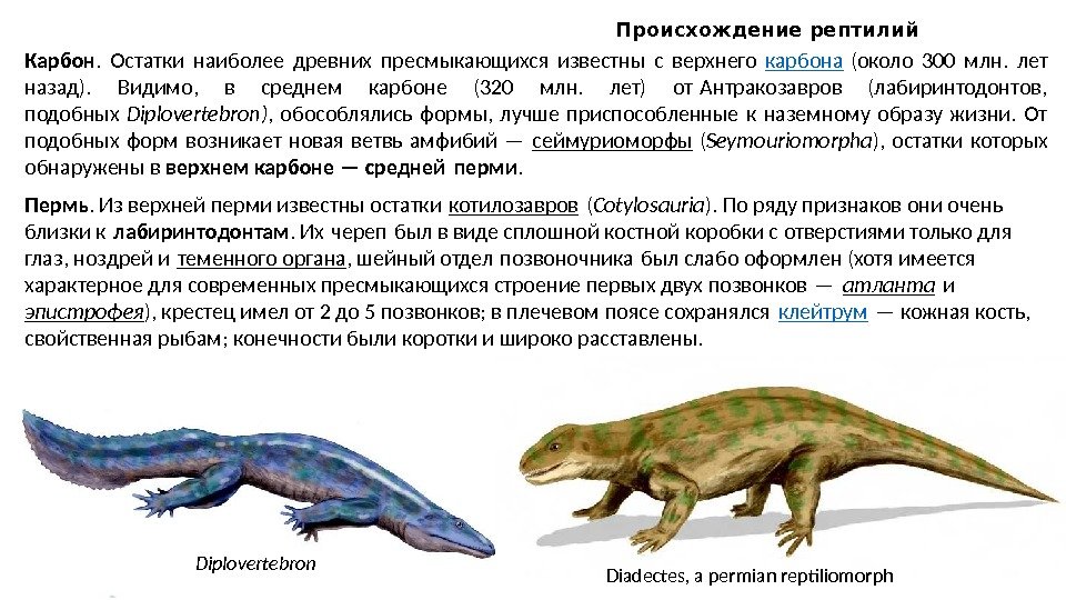 Древние пресмыкающиеся происхождение пресмыкающихся