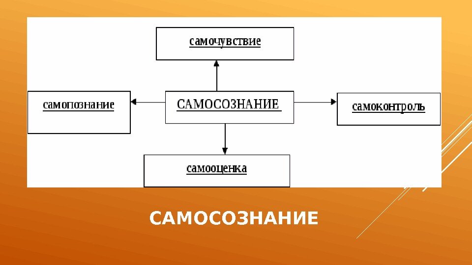 Заполните схему самопознание размышление о самооценка включает начинается с того что