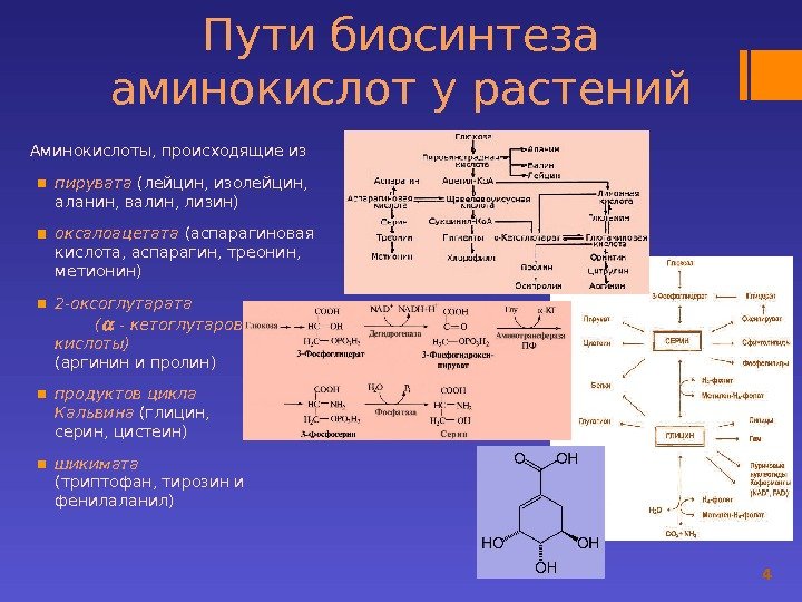 Система биосинтеза