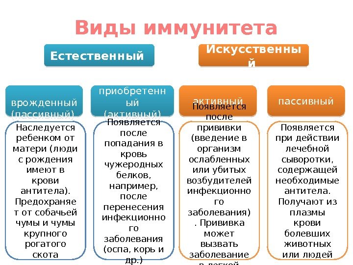 Иммунитет виды