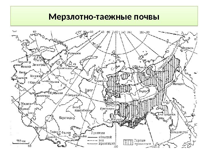 Мерзлотно таежные почвы содержание гумуса. Область распространения почв мерзлотно Таежные. Мерзлото таежны почвы на карте Росси. Мерзлотно-Таежные почвы схема. Географическое положение мерзлотно таежных почв.