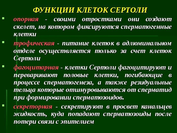 Счет клеток. Функции клетки. Основные функции клетки кратко. Клетки Сертоли функции. Функции клетки кратко.