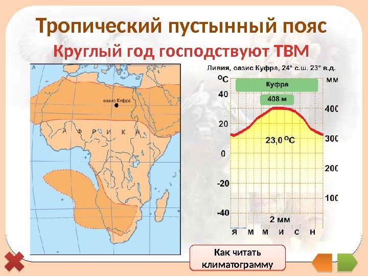 Определите тип климатического пояса