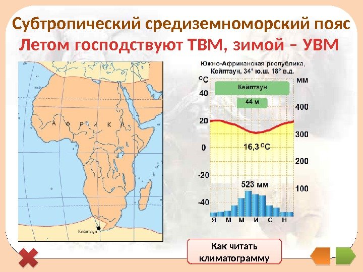 Количество осадков в африке