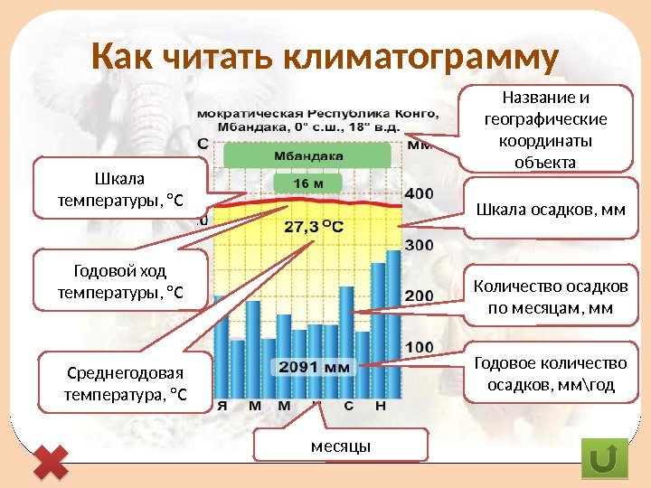 Расшифровка диаграммы. Как определить климатограмму 7 класс география. Климатограмма 7 класс география. Едиматограммы география 7 класс. Характеристика климатограммы.