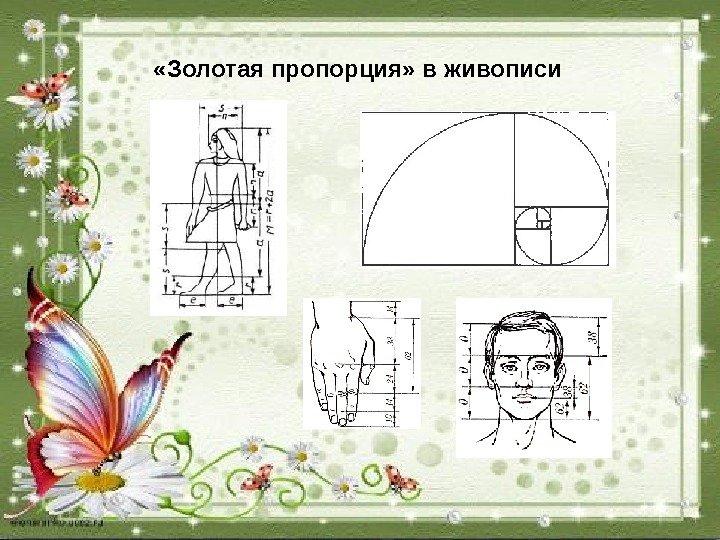 Пропорции в картинах