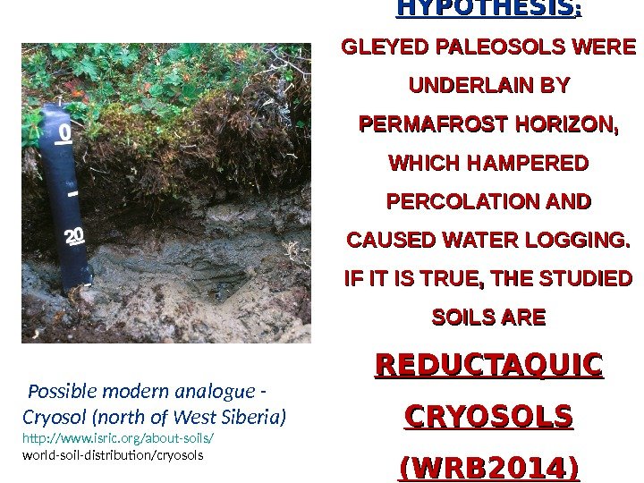  Possible modern analogue - Cryosol (north of West Siberia) http: //www. isric. org/about-soils/ world-soil-distribution/cryosols HYPOTHESIS