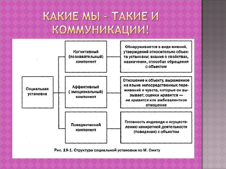 Схема анализа структуры социальной установки по м смиту