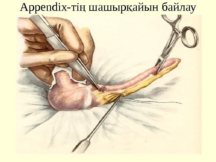 Appendix- ті шашыр айын байлауң қ 