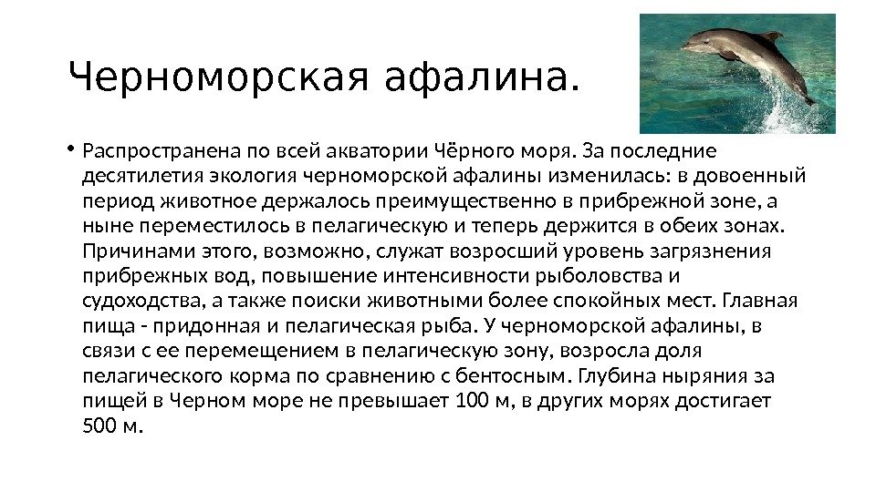 Черноморская афалина.  • Распространена по всей акватории Чёрного моря. За последние десятилетия экология черноморской афалины
