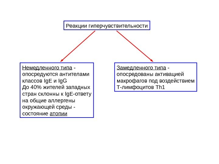 Реакции гиперчувствительности Немедленного типа - опосредуются антителами классов Ig. E и Ig. G До 40 жителей