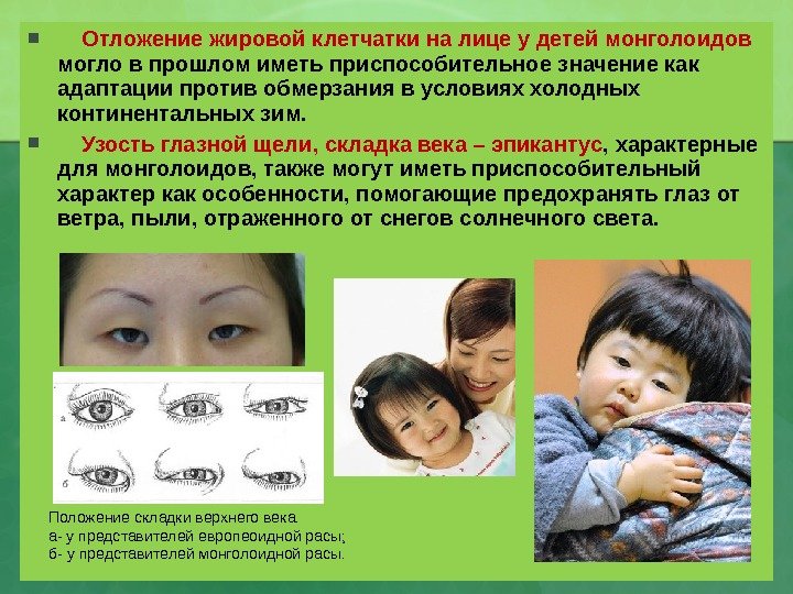  Отложение жировой клетчатки на лице у детей монголоидов могло в прошлом иметь приспособительное значение как