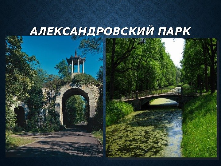 Презентация царское село