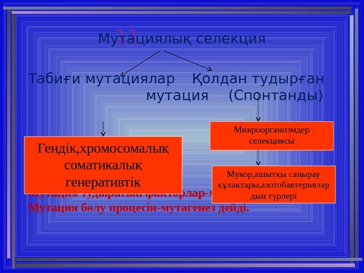 Қазақстандағы селекция жетістіктері презентация