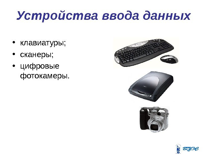Устройства ввода данных • клавиатуры;  • сканеры;  • цифровые фотокамеры. 