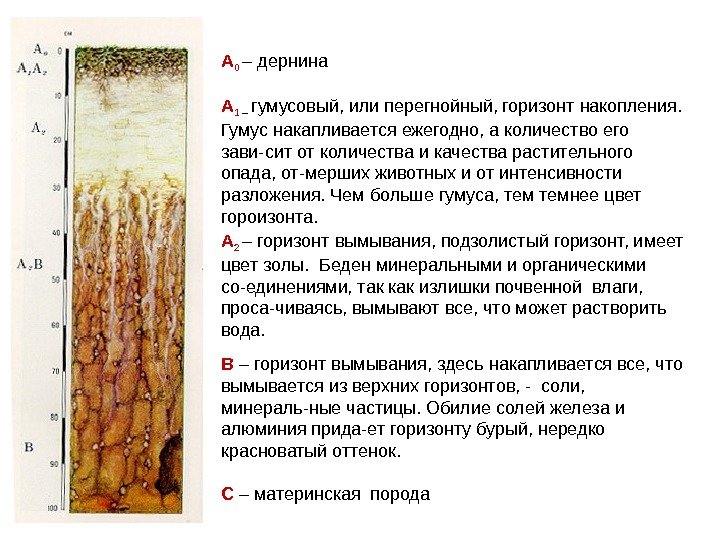 По рисунку 55 сравните как проходят границы