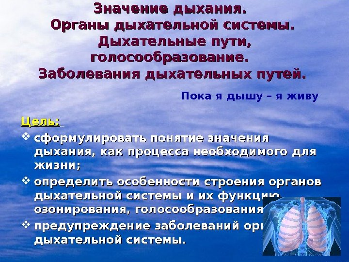 Что означает дыхание. Значение дыхательной системы. Значение дыхания. Значение органов дыхания. Значение системы органов дыхания.