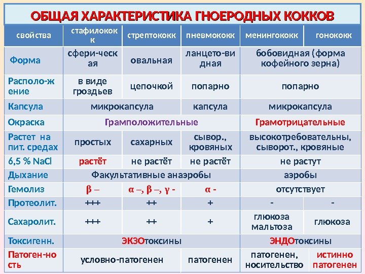 3 1 общая характеристика