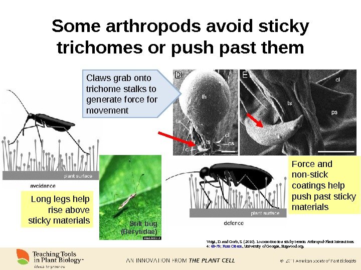 Some arthropods avoid sticky trichomes or push past them Voigt, D. and Gorb, S. (2010). Locomotion
