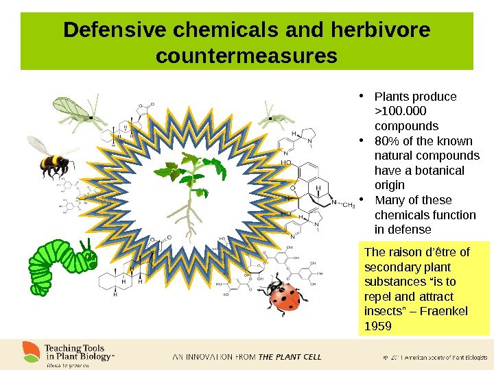 Defensive chemicals and herbivore countermeasures • Plants produce  100. 000 compounds • 80 of the