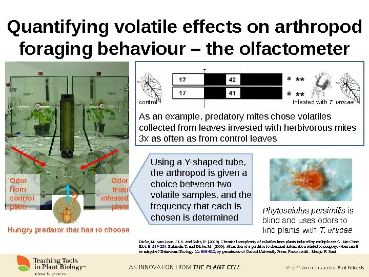 Quantifying volatile effects on arthropod foraging behaviour – the olfactometer As an example, predatory mites chose