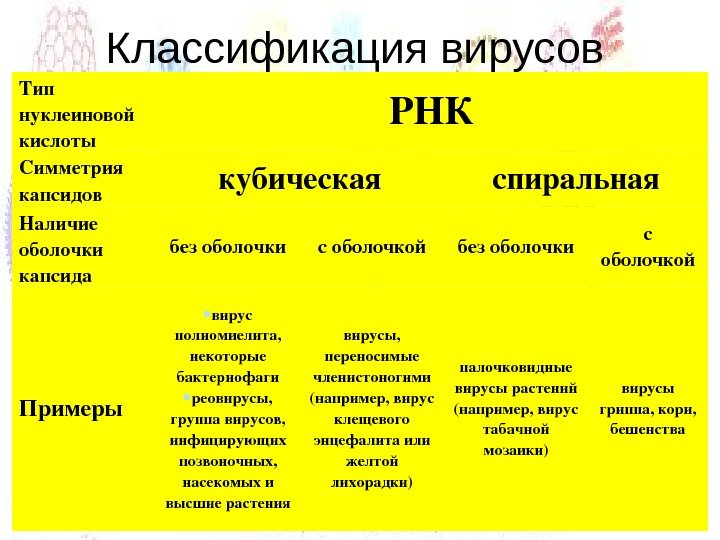 Классификация вирусов схема. Принципы классификации вирусов микробиология. Классификация вирусов по типу нуклеиновой кислоты микробиология. Классификация вирусов по типу нуклеиновой кислоты. Принципы классификации вирусов таблица.