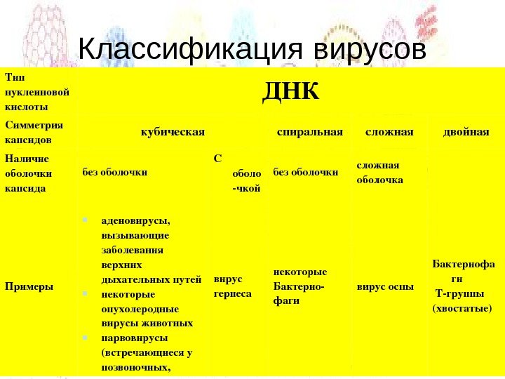 Классификация вирусов. Классификация вирусов Тип нуклеиновой. Классификация вирусов по типу капсида. Классификация вирусов по типу симметрии.